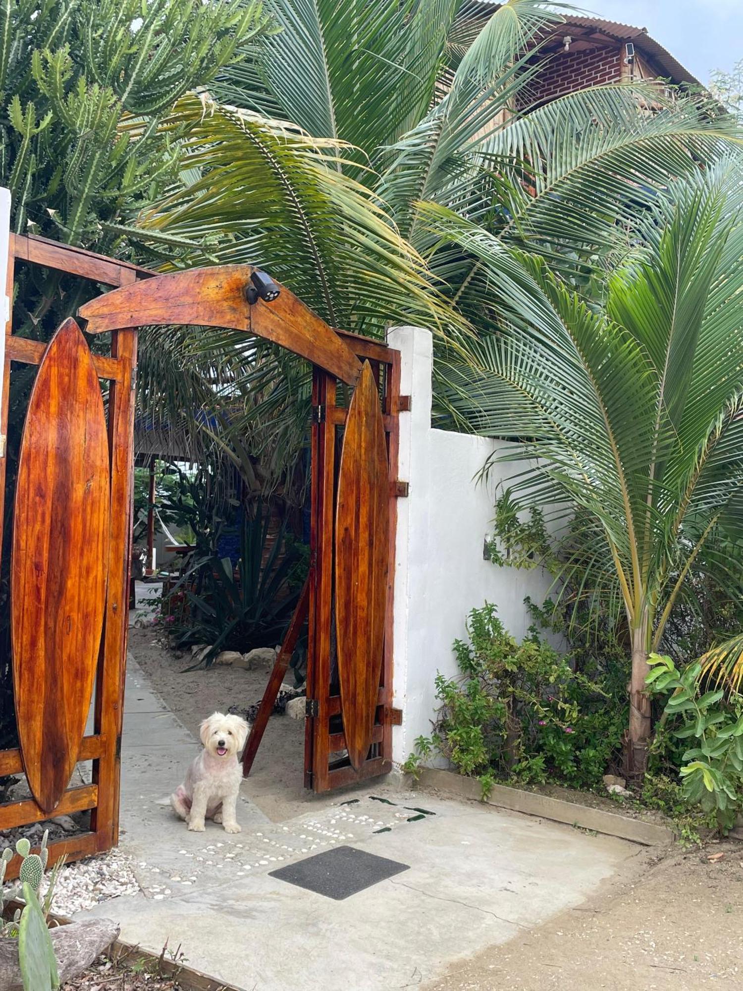 Un Dia Boutique Resort Playas Exterior foto